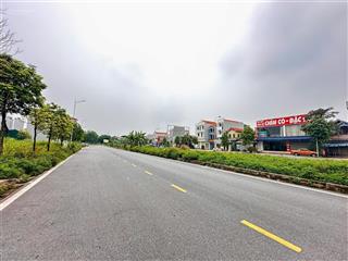 Bán nhanh mảnh đất kinh doanh 100 m2 thuộc khu ẩm thực chim to dần hà nam!