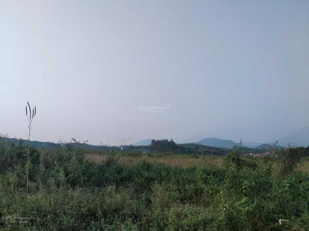 Chuyển nhượng đất kcn cẩm khê dt 2ha 3ha 10ha, mặt bằng sạch, sẵn sàng bàn giao giá bán 2,119tr/m2