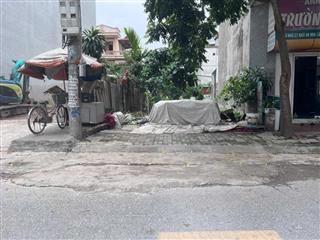 Chính chủ cần bán gấp mảnh đất thổ cư hai mặt đường trước sau tại phố Hoa Lâm, Việt Hưng 