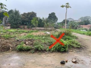 Chính chủ cần bán gấp lô góc ba mặt thoáng tại trung tâm khu đấu giá Chi Đông, Lệ Chi, Gia Lâm 