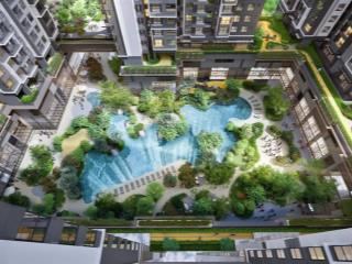 Dự án the harmonie của cđt phú mỹ hưng  căn hộ cao cấp mở bán tháng 1/2026. giá hấp dẫn