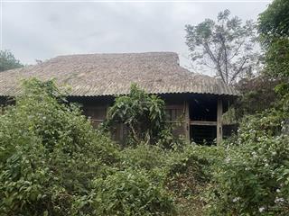 Bán nhà riêng tại đt 301, ngọc thanh, phúc yên, vĩnh phúc, giá siêu hời 6,75 triệu / m2, 954m2