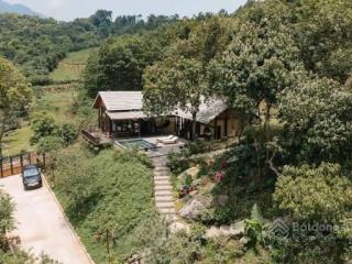 Bán đất rừng sản xuất ôm trọn quả đồi  tại ngọc thanh