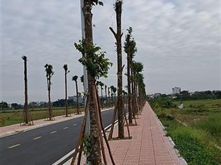 Bán đất đường ô tô vị trí đẹp tại bích hòa, thanh oai, hn