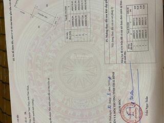 Bán đất đường đh.87 xã thái hồng, thái thụy, thái bình tim đường 20,5m