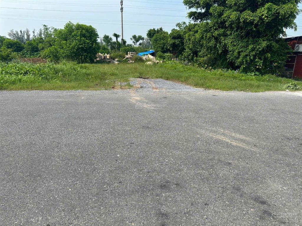 Bán đất đường đh.87 xã thái hồng, thái thụy, thái bình tim đường 20,5m