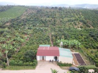 Mua vườn tặng 1 tỷ! bán 1.2ha vườn trái cây lâm đồng (200m thổ cư), thu nhập 2 tỷ/năm