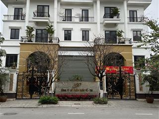 Biệt thự song lập 259m2, trục chính kinh doanh đường 31m lideco 32 giá 4x tỷ!