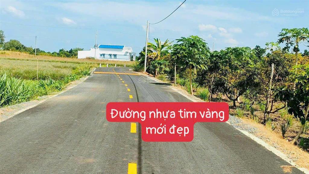 Hạ giá  bán nhanh 461m2 đất vườn xã đất đỏ  tp hcm  cạnh đường chuẩn bị mở rộng ra 2 m