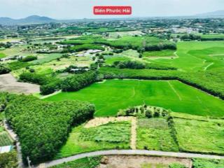 Lô vườn 845m2 vườn cây ngay ql55 view ôm trọn cánh đồng lúa