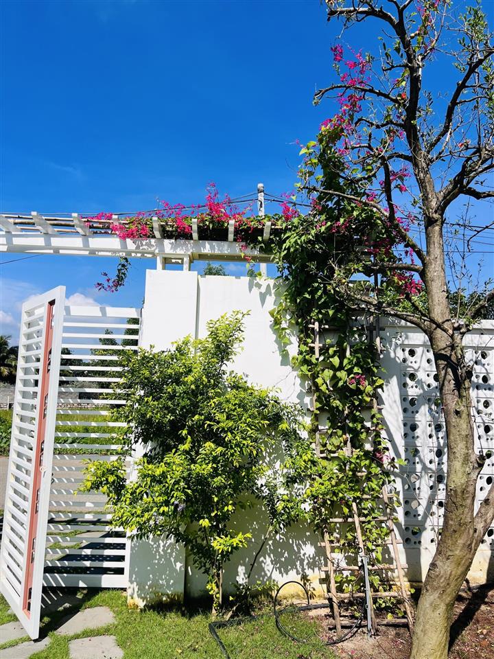 Hạ gấp 500tr  bán căn nhà vườn mơ ước của bao người gần biển phước hải, hồ tràm