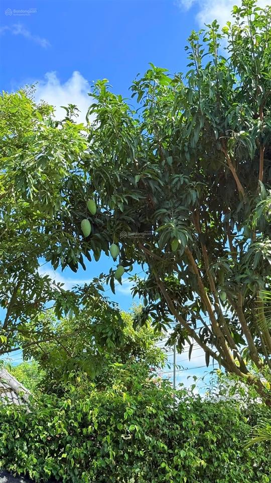 Bán nhà vườn hồ bơi  gần biển phước hải mặt tiền đường nguyễn huệ xách vali về ở ngay