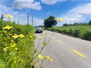 Chủ gửi bán nhanh 1000m2 sẵn 200m thổ cư làm nhà vườn siêu rẻ đẹp xã đất đỏ  tp hcm