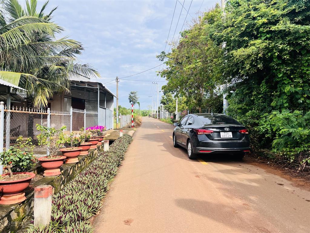 Hàng hiếm  lên mảnh vườn 1000m2 ngay trung tâm xã đất đỏ  tp hcm cách chợ chỉ 1km