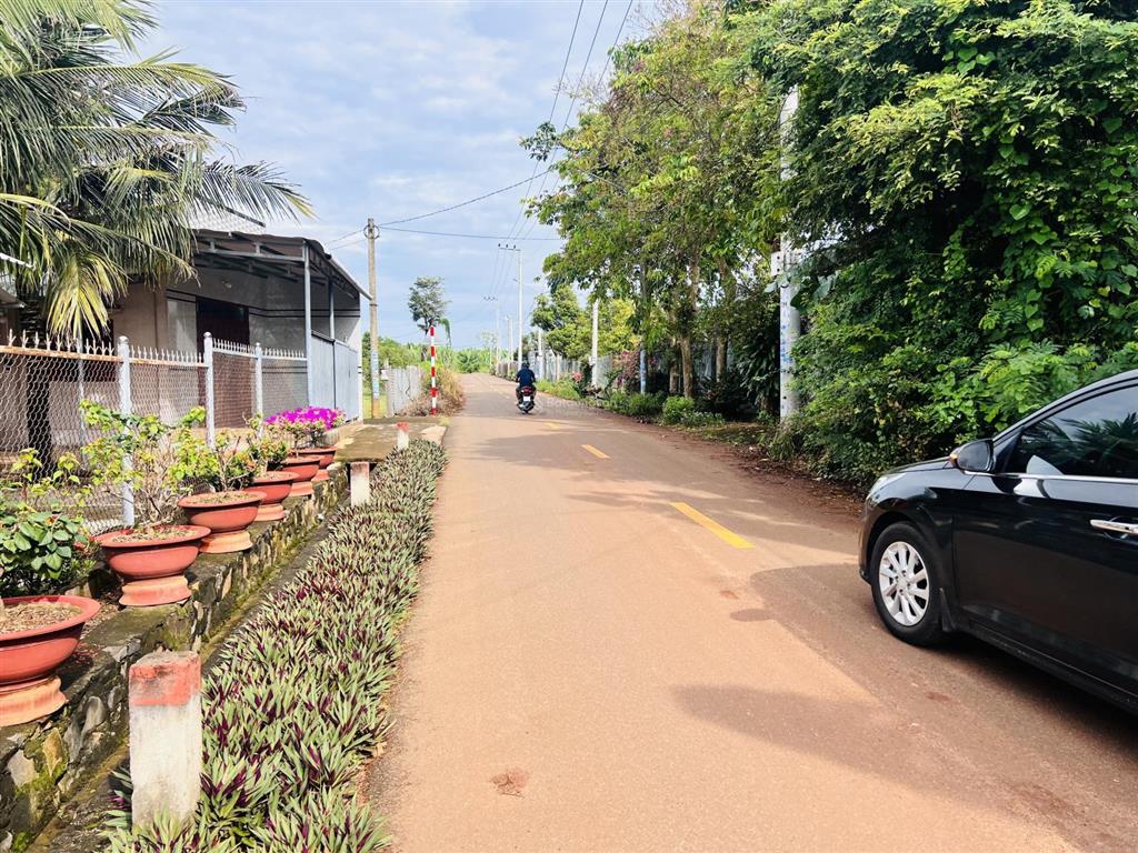 Hàng hiếm  lên mảnh vườn 1000m2 ngay trung tâm xã đất đỏ  tp hcm cách chợ chỉ 1km