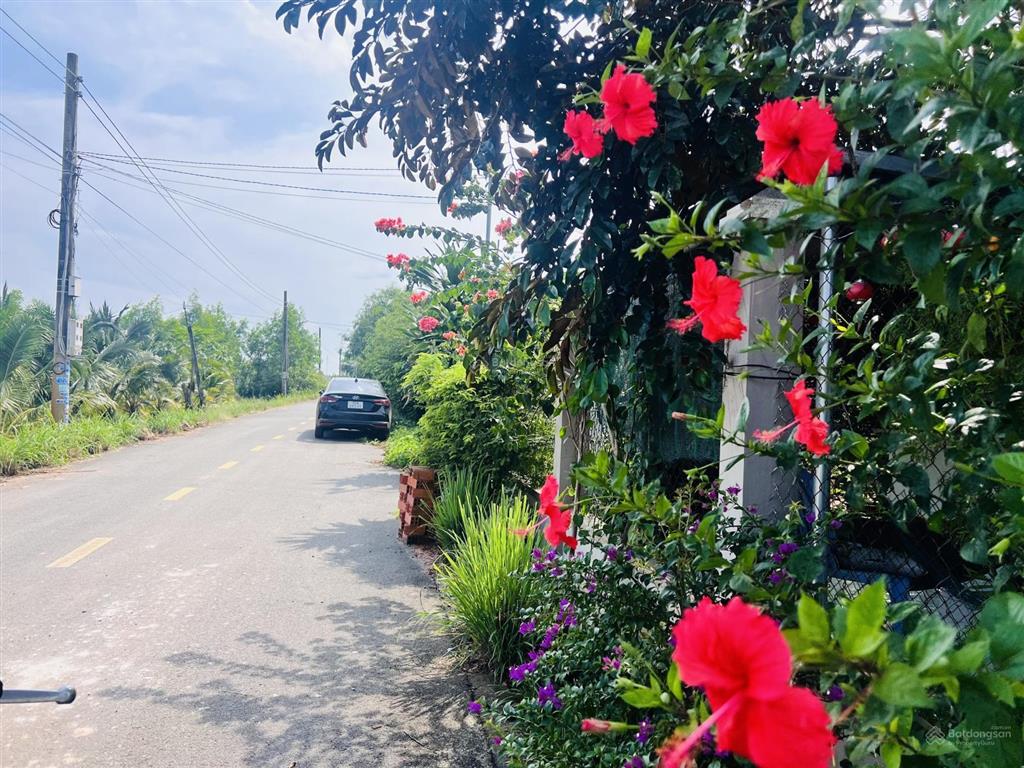 Đất đẹp view lúa mát mẻ quanh năm ngay xã phước hải  tp hcm về biển chỉ 5km