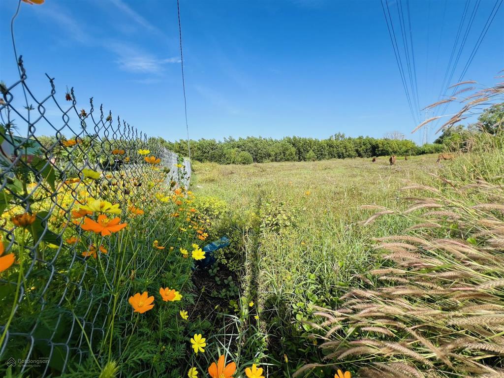 Chỉ 2tr/m2 đất  lô này khách mua làm vườn ok ạ  xã đất đỏ  tp hcm