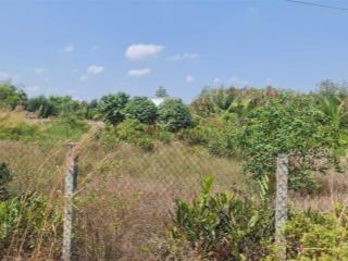 Cần bán lô đất 1000m2 mặt tiền ec xã bình khánh cần giờ