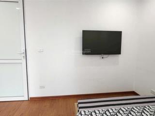 Cho thuê chung cư mini 1pn, 1wc, 40m2 tại xuân diệu, quảng an, tây hồ, hà nội, giá siêu hời