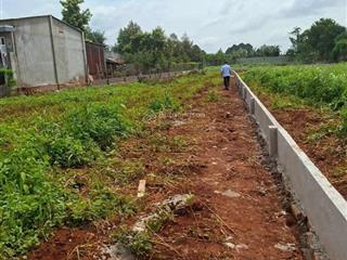 Cần bán gấp 1 sào (1000m2) 80m2 thổ cư, 16m mặt tiền đường nhựa p. tam long, tp. hcm