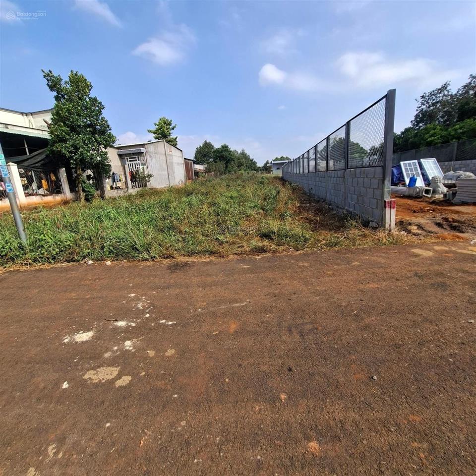 Cần bán 1000m2 (80m2 thổ cư) 16m mt đường nhựa long phước, bà rịa