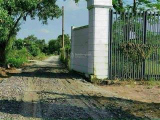 Bán vườn măng cụt phường tân an mặt tiền sông 1 sẹc huỳnh thị hiếu đường oto giá rẻ chỉ 2tr5/m2