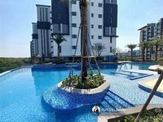 Cần bán căn hộ 2pn diamond alnata plus view biển đẹp nhấtceladon, thanh toán giãn 36 tháng