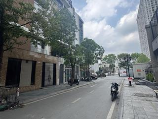 Biệt thự nhà vườn  phân lô royal city  ô tô tránh  vỉa hè rộng  100m2  mặt tiền 7m  42 tỷ