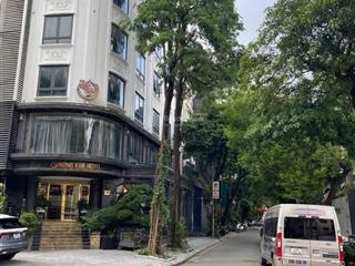 Siêu phẩm mặt phố  lô góc 3 thoáng  kinh doanh đa ngành  8 tầng 1 hầm  gara ô tô 80m2 42 ty