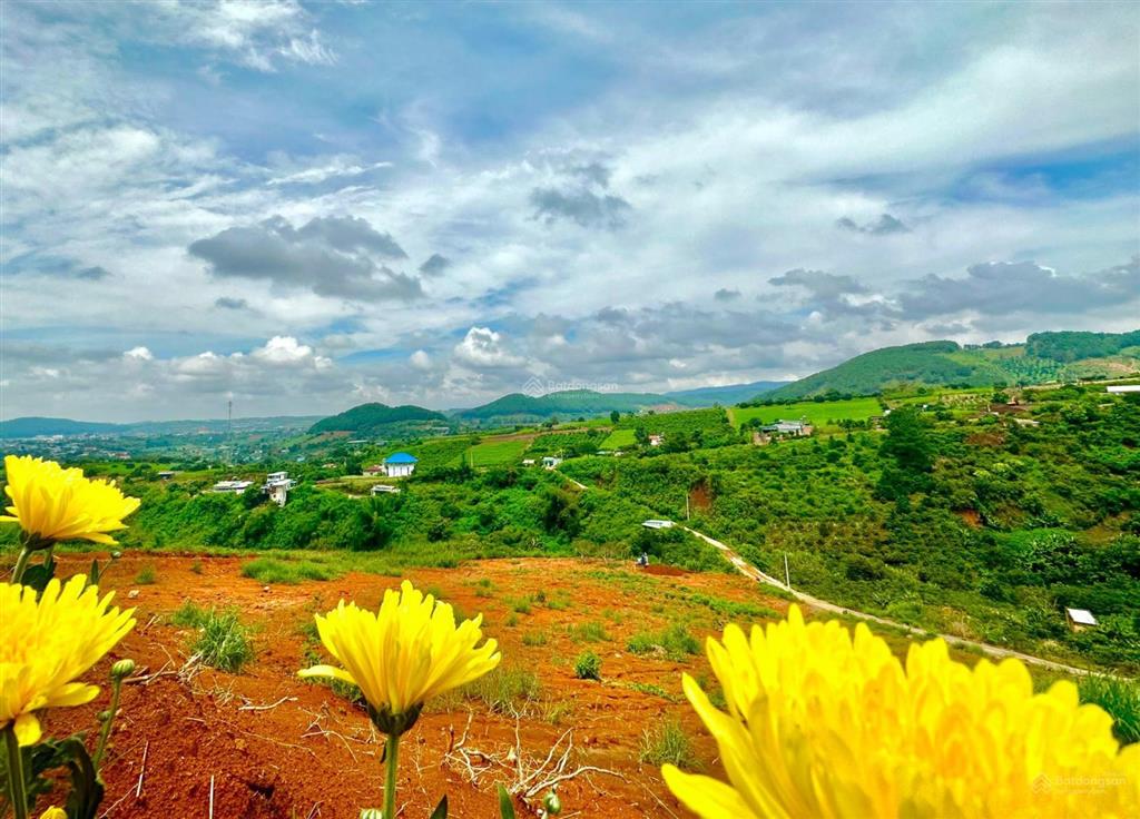 Làng nghỉ dưỡng nam ban view, f0 chỉ 850tr, 550m2, shr, view đồi thông, toàn thị trấn