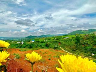 Làng nghỉ dưỡng nam ban view, f0 chỉ 680 tr, 500m2, shr, view đồi thông, toàn thị trấn