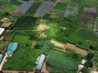 Đất nền 390m2, 100m2 thổ cư, view thoáng, ngay vinamilk đơn dương  cơ hội an cư và đầu tư lý tưởng