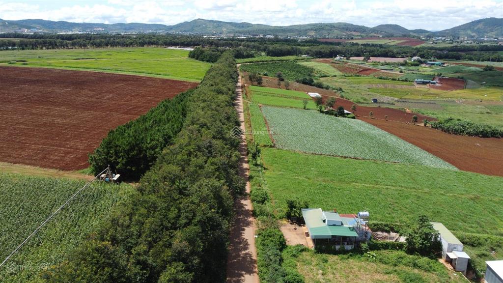 Đất nền 390m2, 100m2 thổ cư, view thoáng, ngay vinamilk đơn dương  cơ hội an cư và đầu tư lý tưởng