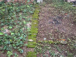 Bán 192m2 đất đẹp đường phương canh gần ôtô tránh 400m ra cđ fpt