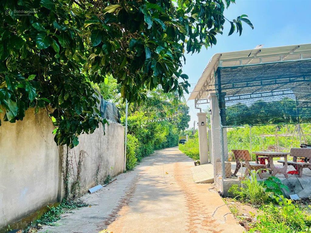 Bán đất đẹp gần nhà thờ giáo xứ đất đỏ tại đường phạm văn hy, thị trấn đất đỏ, 870 triệu, 163 m2