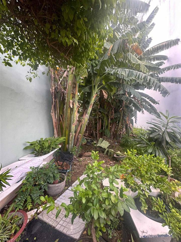 Bán đất mặt tiền 20m, 82m2, sổ hồng riêng,xây dựng 1 trệt 2 lầu +sth, khu dân cư lê bôi phường 7 q8