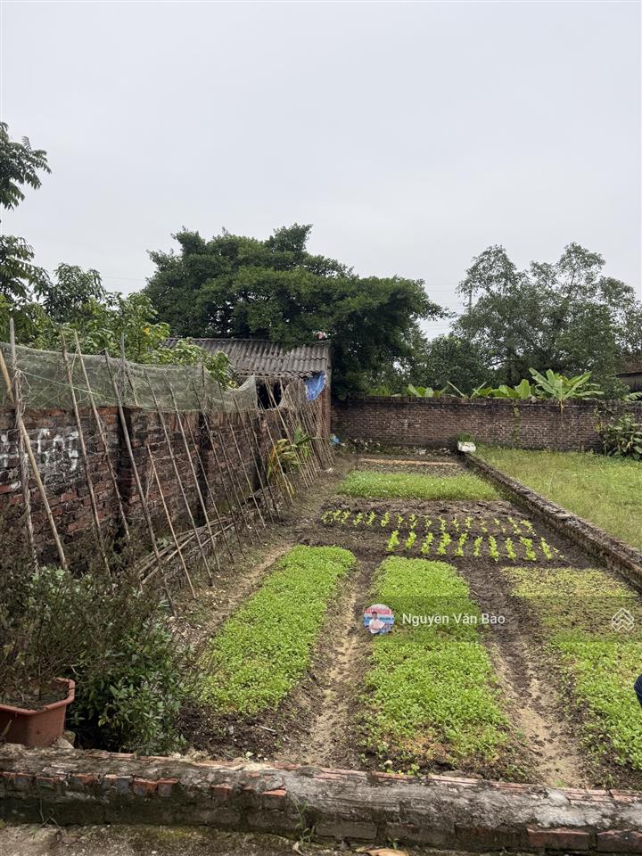 Chuyển nhượng lô đất tại cộng hoà, phù linh, sóc sơn, hà nội