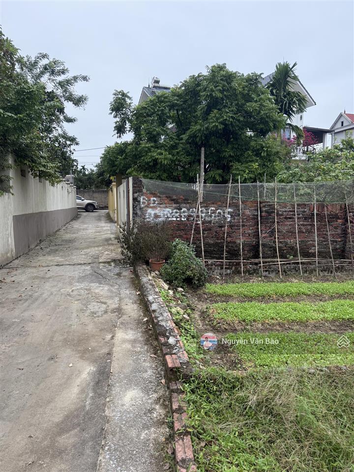 Chuyển nhượng lô đất tại cộng hoà, phù linh, sóc sơn, hà nội