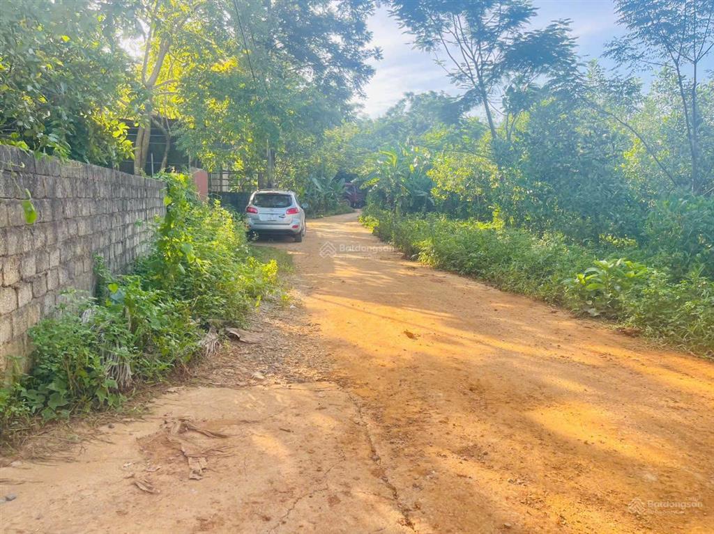 Bán đất 177m² mặt tiền 6m tại xã sao vàng thọ xuân gần đường mòn hồ chí minh giá 550 triệu