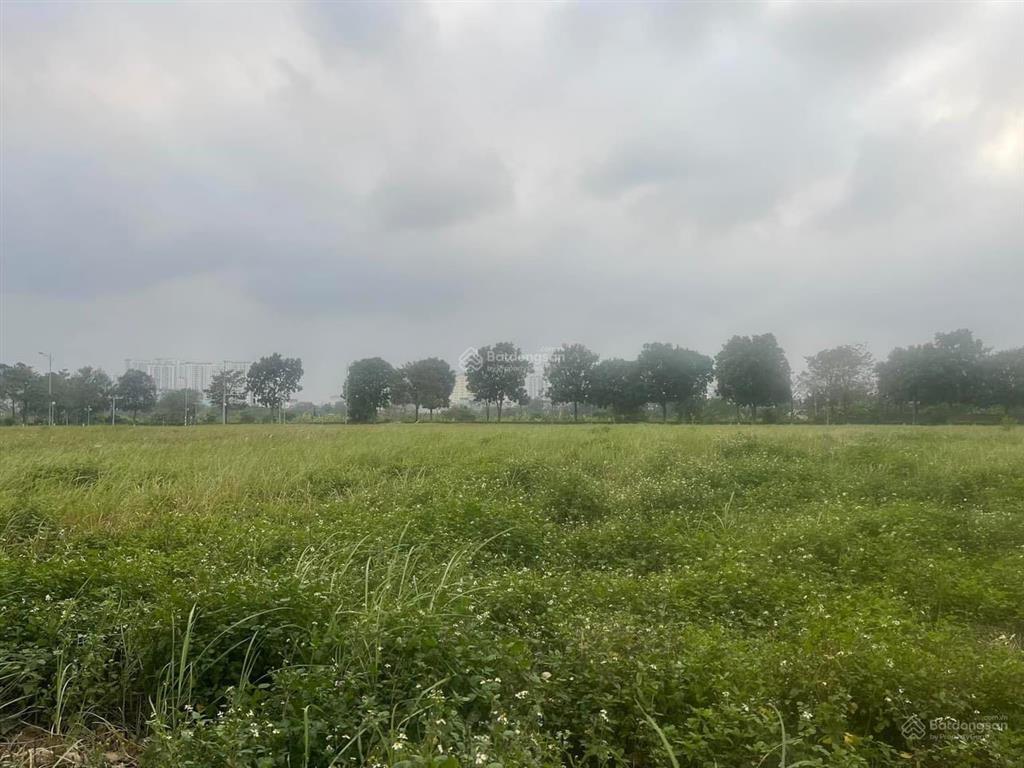 Chuyển nhượng dự án văn phòng kết hợp khách sạn 5* đẳng cấp khu phúc hợp starlake tây hồ tây