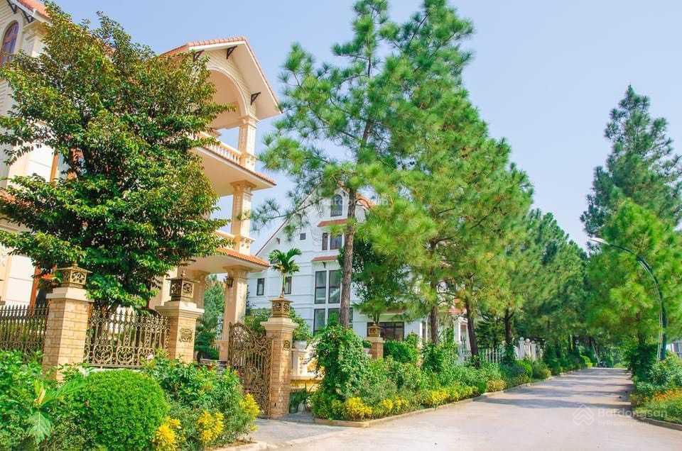 Chính chủ gửi bán lô c5a dt 200m2 giá 80tr/m2 và c8, dt 400m2 giá 75tr/m2 đất