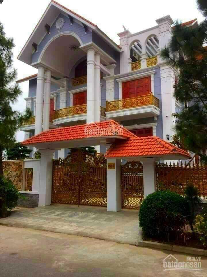 Chính chủ gửi bán lô c5a dt 200m2 giá 80tr/m2 và c8, dt 400m2 giá 75tr/m2 đất