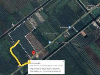 Bán 8 hecta mặt tiền quốc lộ n2 bến lức long an