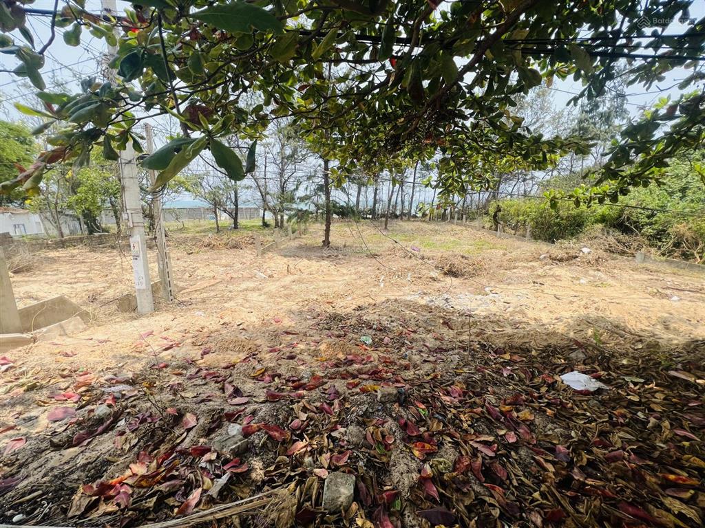 Chính chủ bán lô đất mặt tiền biển tiến thành, cho xây dựng cao tầng giá tốt phan thiết