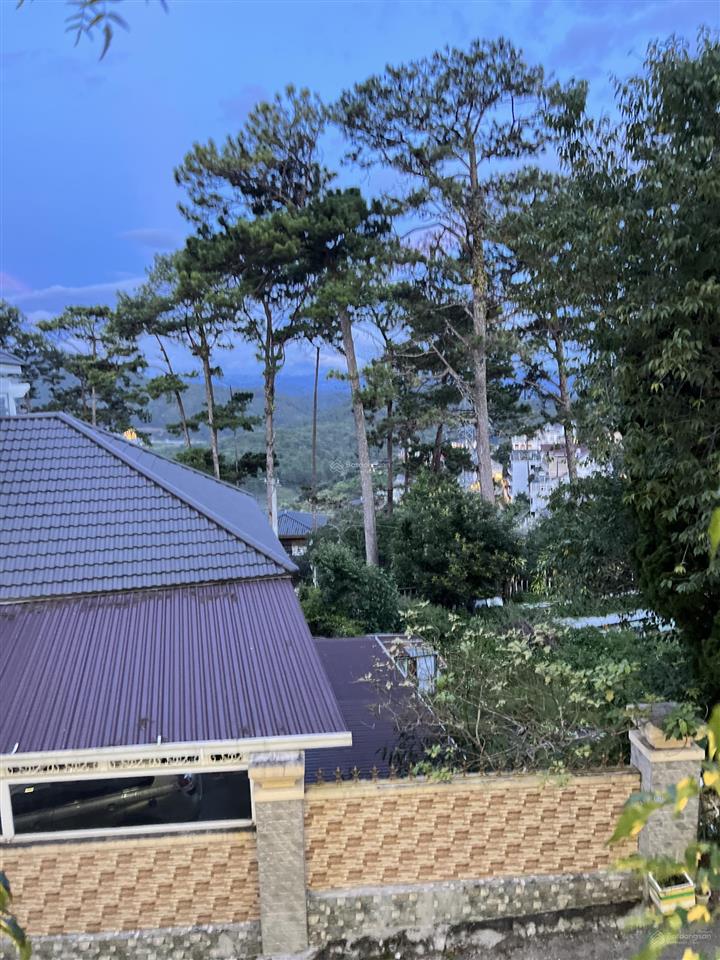 Chính chủ bán biệt thự cao cấp đà lạt 2 mặt tiền ô tô  full nội thất view siêu đẹp p.xuân hương