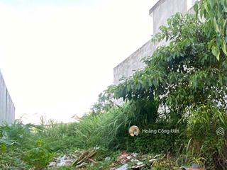 Bán đất gần trường trung học tân phong/gx thuận hòa giá nhỏ cực hiếm. dt 81m2 shr thổ cư  1ty550