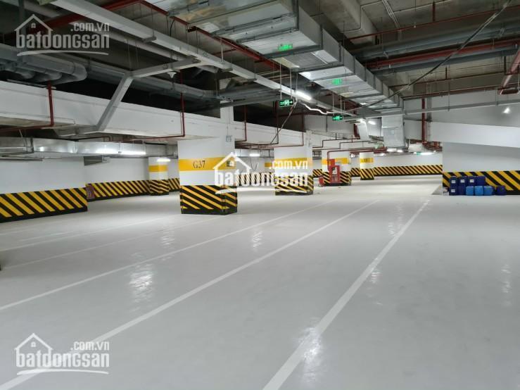 Chính chủ cho thuê văn phòng tòa central point 219 trung kính cầu giấy 350m2 giá 225.000đ/m2/th