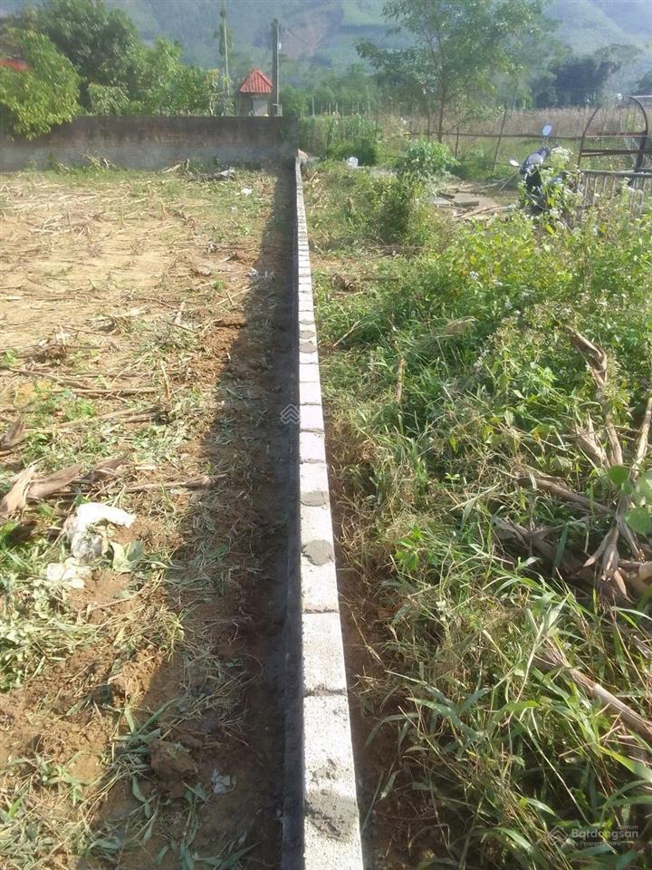 Bán gấp lô đất 345m lô góc  xã mỹ lương  yên lập phú thọ, giá rẻ lợn chết nhanh siêu rẻ