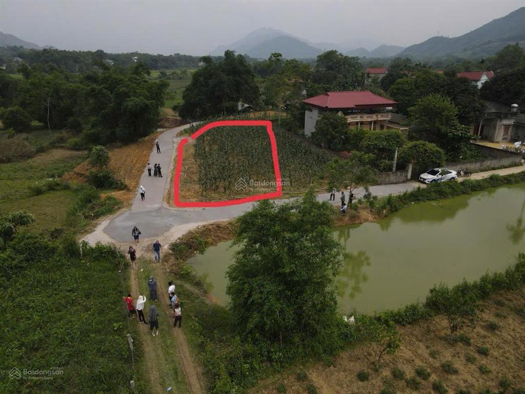 Bán gấp lô đất 345m lô góc  xã mỹ lương  yên lập phú thọ, giá rẻ lợn chết nhanh siêu rẻ