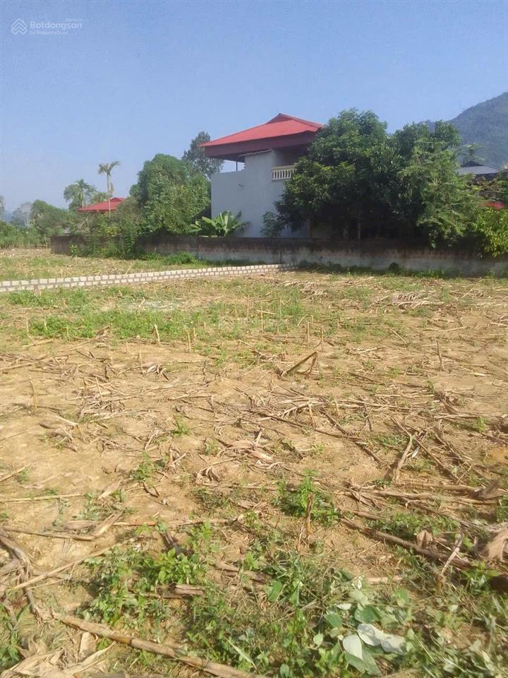 Bán gấp lô đất 345m lô góc  xã mỹ lương  yên lập phú thọ, giá rẻ lợn chết nhanh siêu rẻ